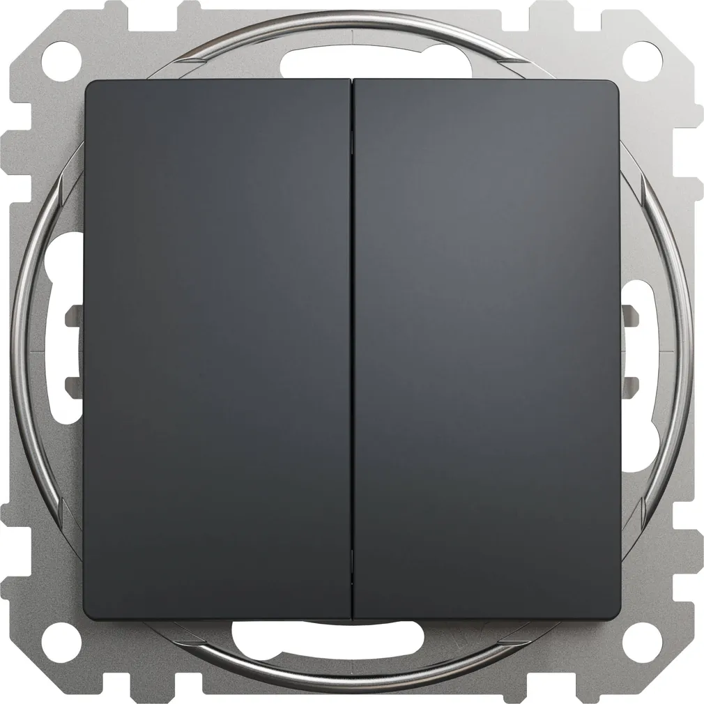 LÜLITI 2-NE SCHNEIDER-ELECTRIC SEDNA DESIGN ANTRATSIIT