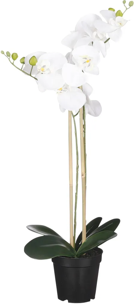 KUNSTLILL KUUKING MICA DECORATIONS POTIS 70X38CM VALGE