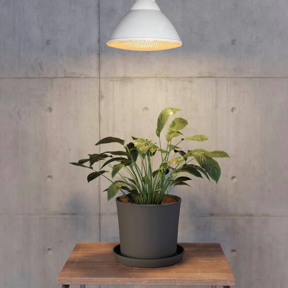 LED LAMP EGLO TAIMEDELE 16W E27 1700LM 2700K PAR38 KOLLANE