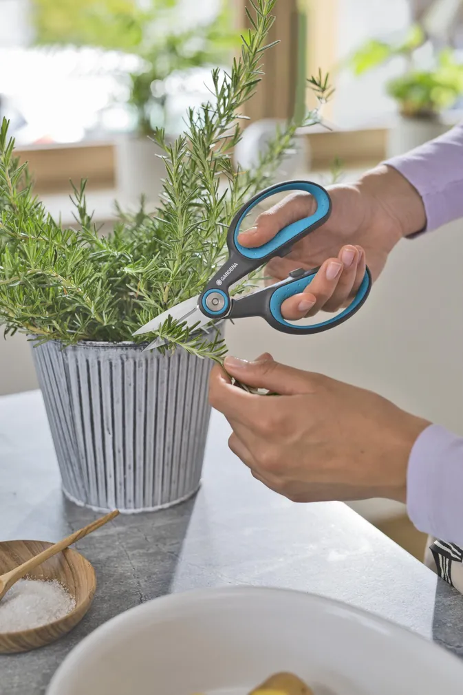 KÄÄRID GARDENA HERBCUT