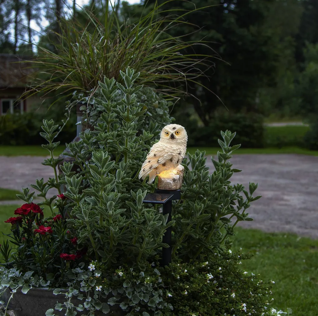 AIAVALGUSTI STAR TRADING SOLAR DEKORATSIOON OWL