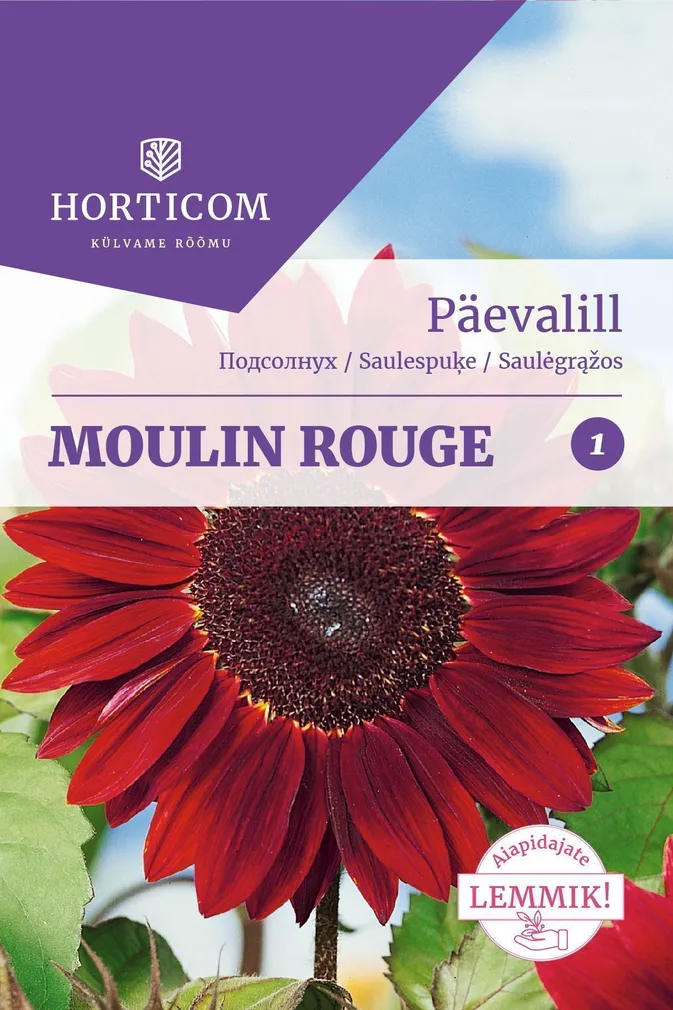 SEEMNED HORTICOM PÄEVALILL MOULIN ROUGE 50TK
