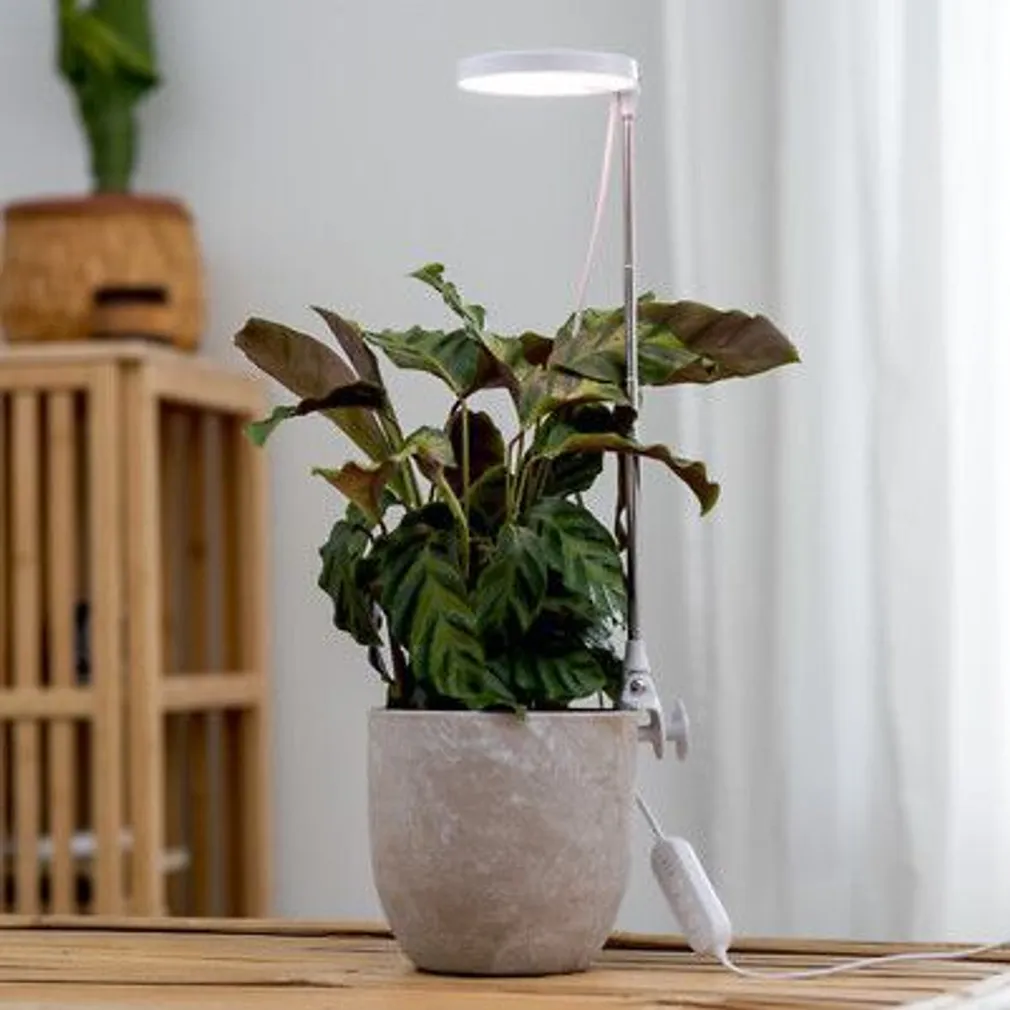 TAIMELAMP AIRAM ROSE 10W LED 3500K 290LM 25000H USB VALGE