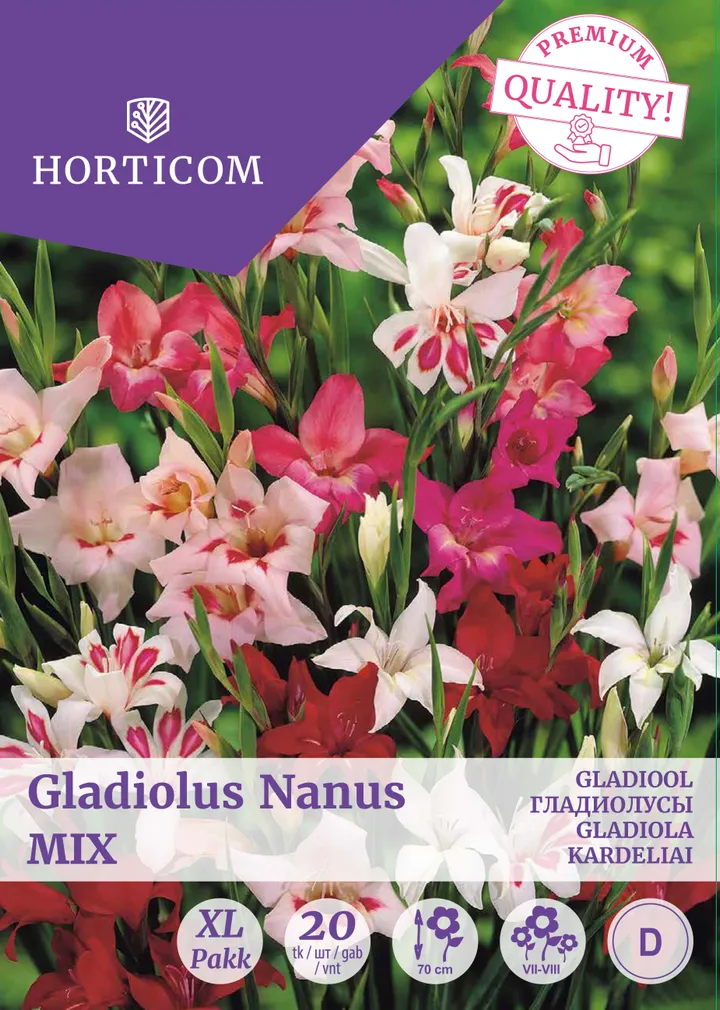 GLADIOOL NANUS MIX 20TK