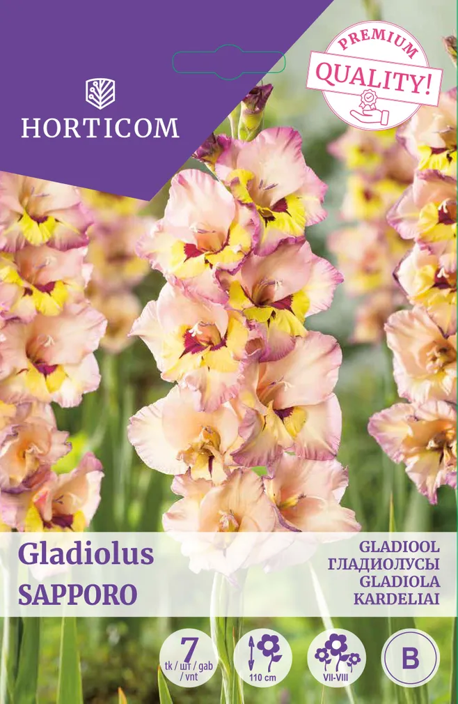 GLADIOOL SAPPORO 7TK