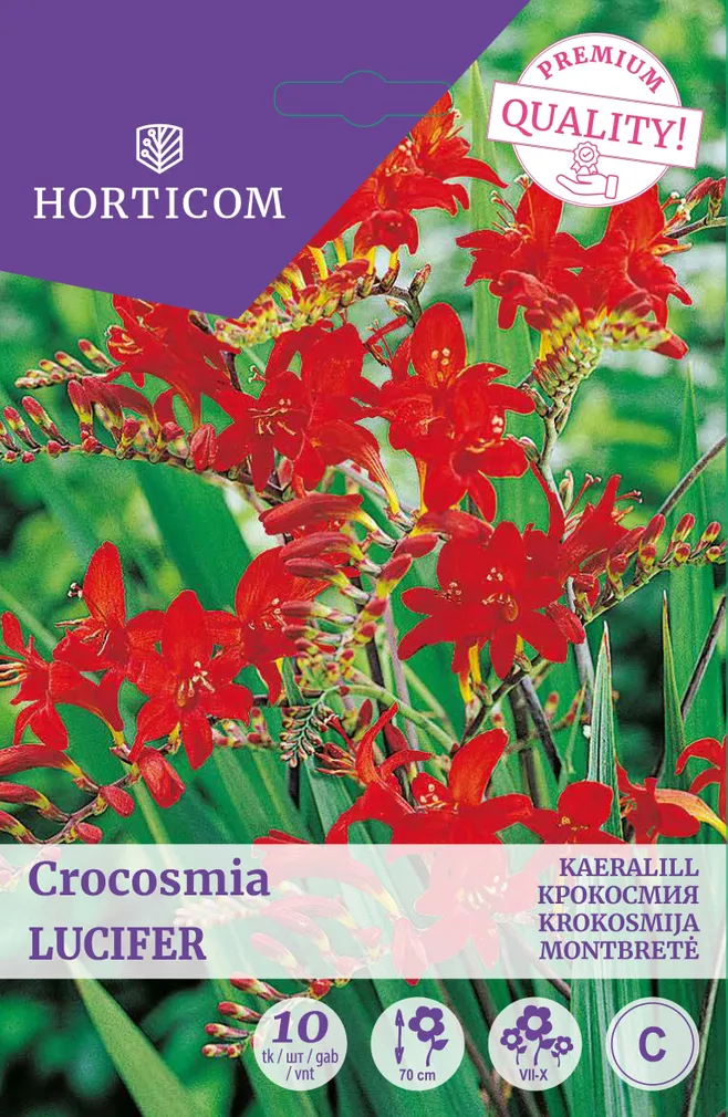 KAERALILL CROCOSMIA LUCIFER 10TK