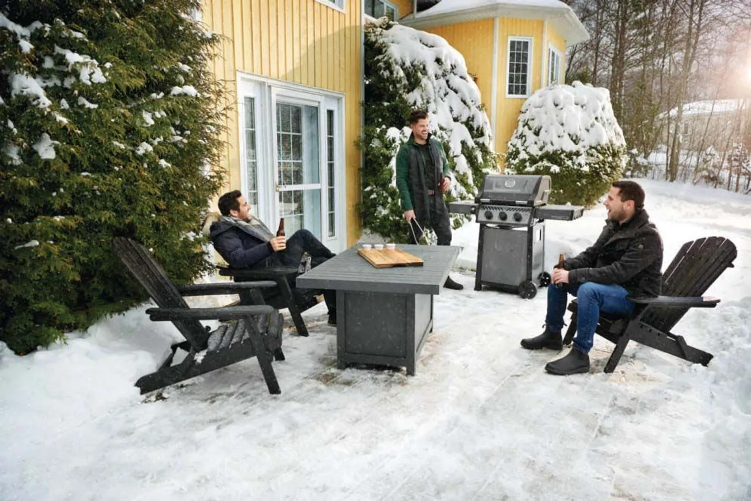 GAASIGRILL NAPOLEON 913 FREESTYLE, F365PGT-FI