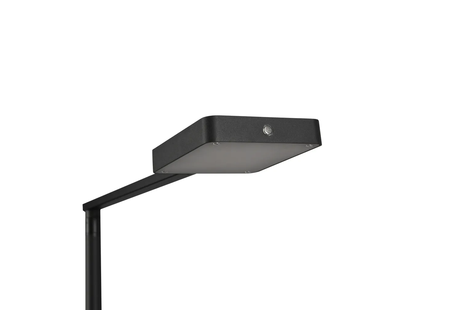 PÕRANDALAMP TRIO PAVIA 12W LED MATT MUST