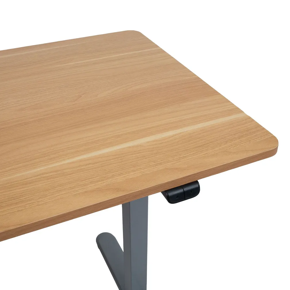 TÖÖLAUD ERGO LIGHT 1-MOOTORIGA 120X60CM HALL/TAMM