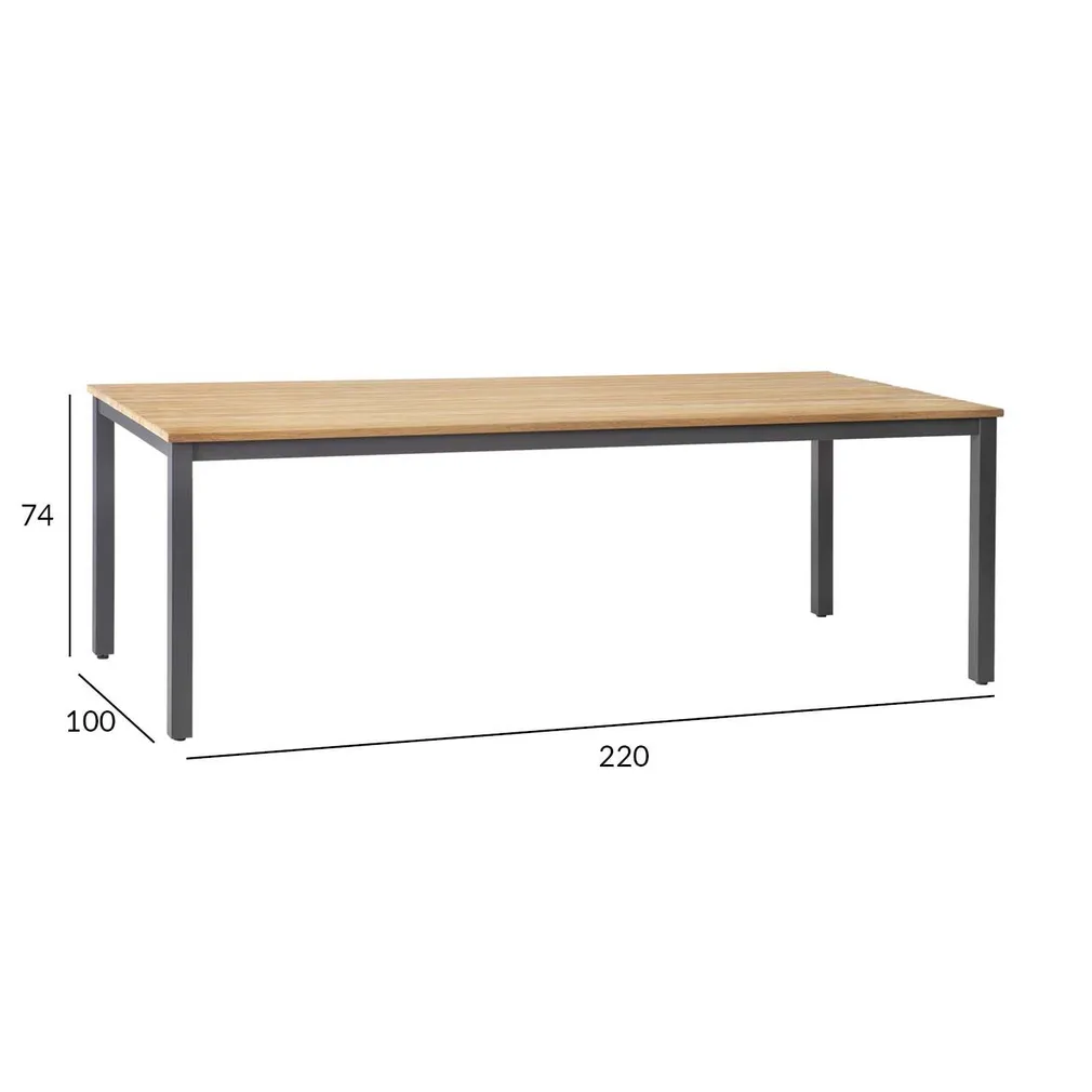LAUD MONTANA 220X100XH76CM TIIKPUU