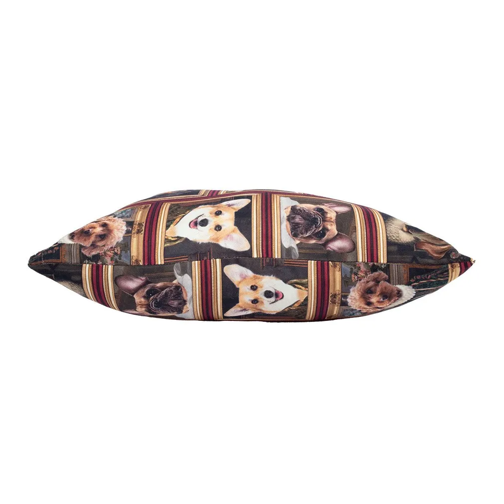 PADI HOLLY 45X45CM, KOERAD RAAMIS