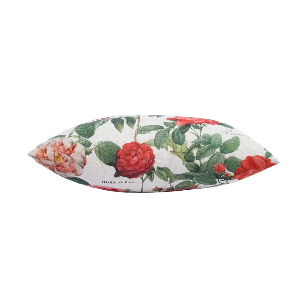 PADI HOLLY 45X45CM, ROOSIAED