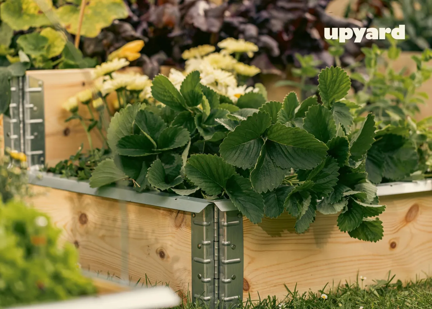 PEENRAKAST UPYARD ECO NATURAAL 120X80CM