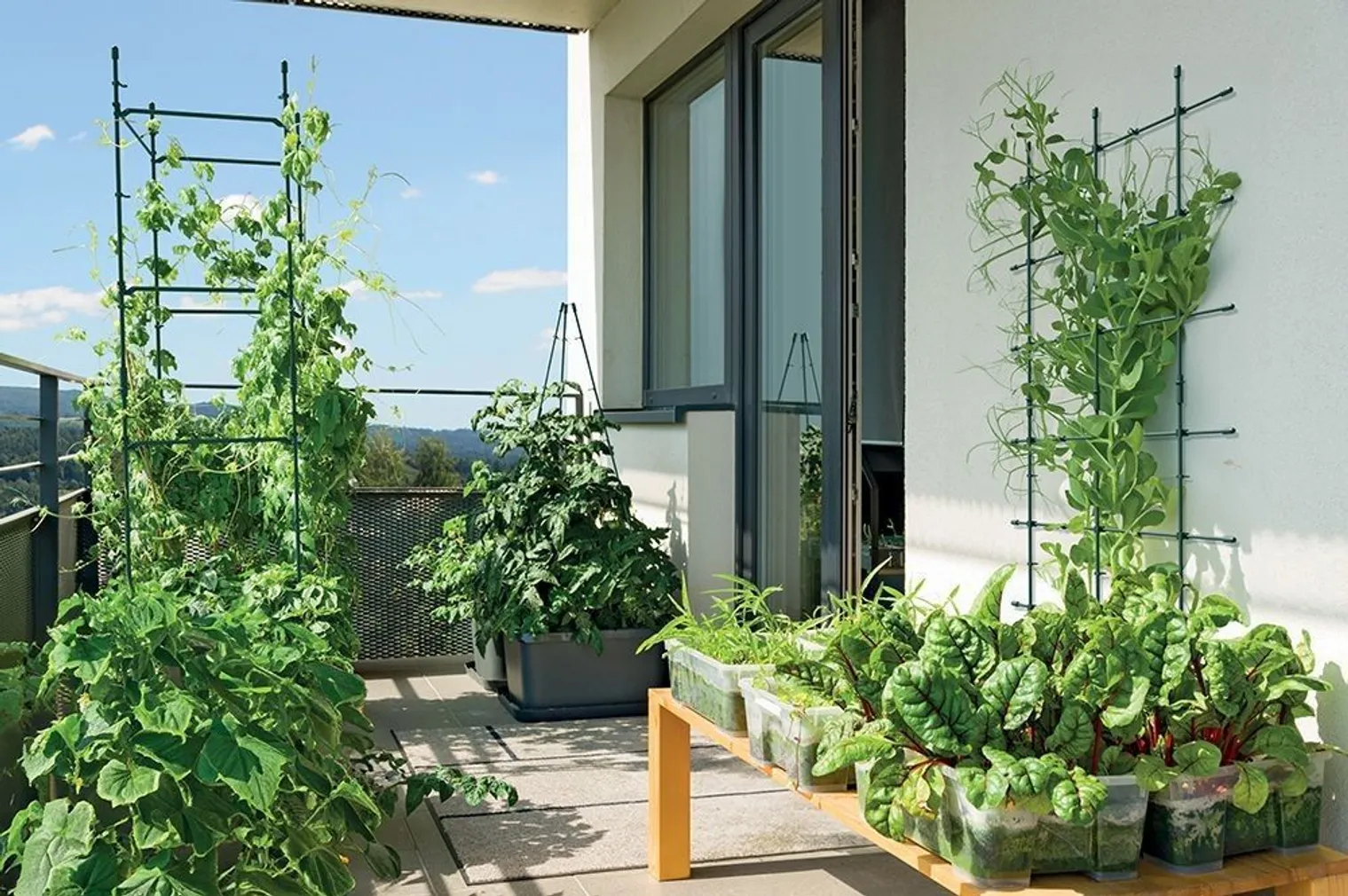 LILLEREDEL RUUT PROSPERPLAST METSAROHELINE