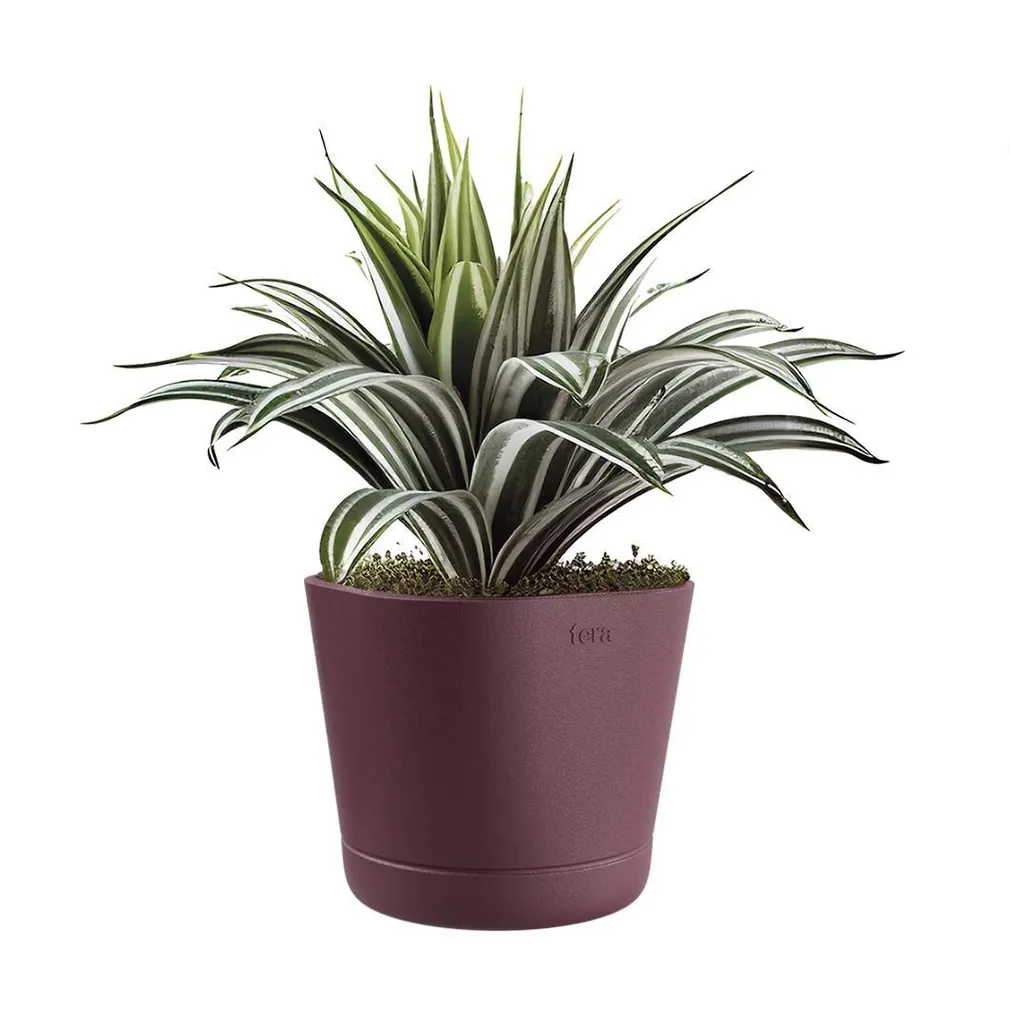 LILLEPOTT COLORADO LILLA Ø15CM
