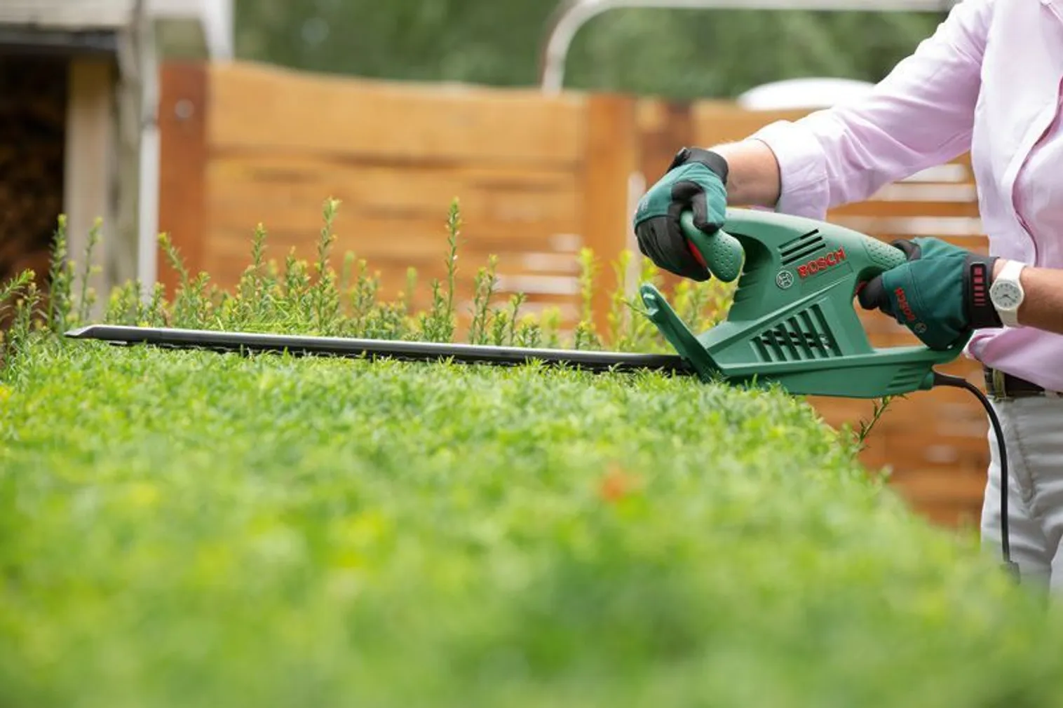 HEKILÕIKUR BOSCH EASYHEDGECUT 55