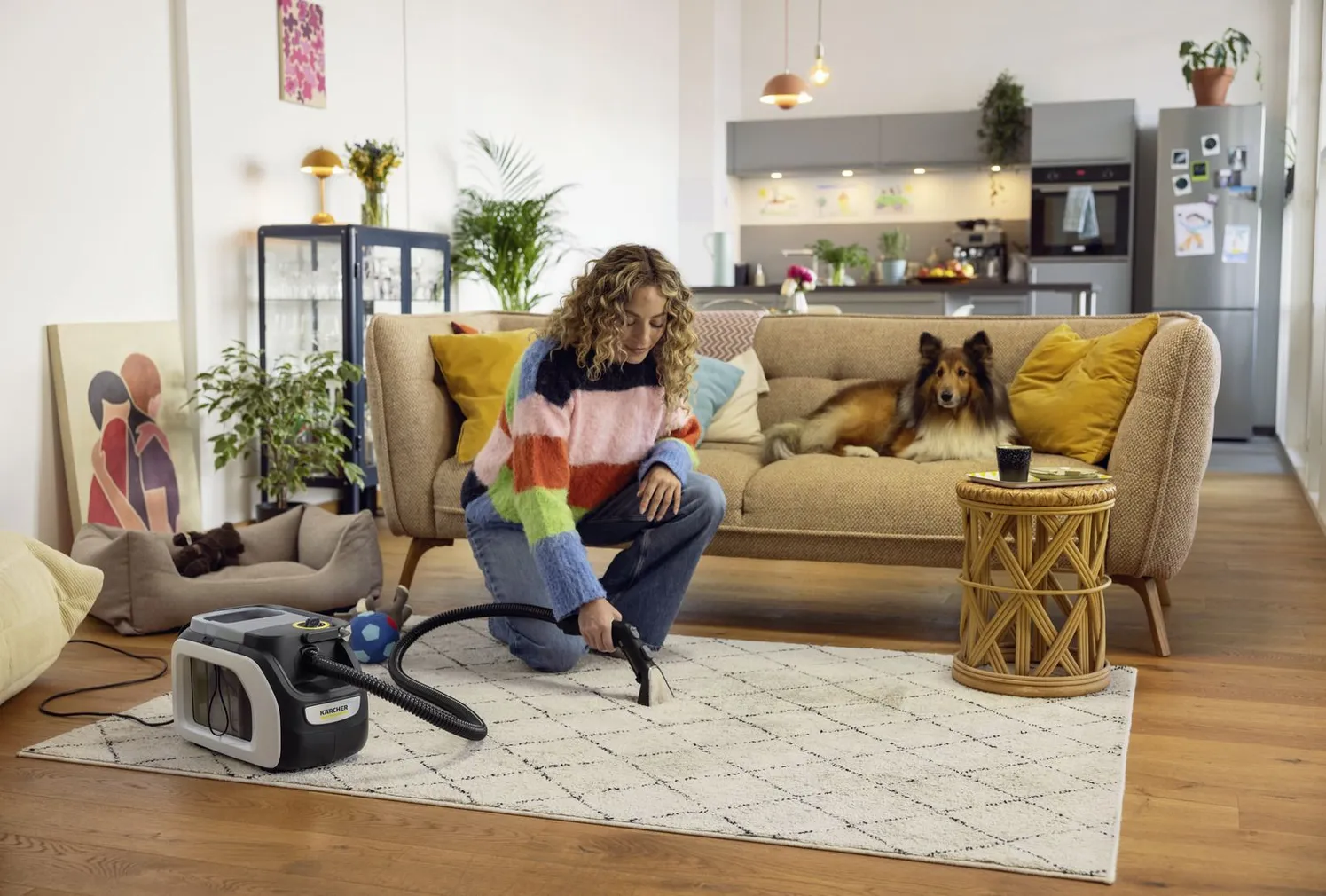 TEKSTIILIPESUR KÄRCHER SE 3 COMPACT HOME
