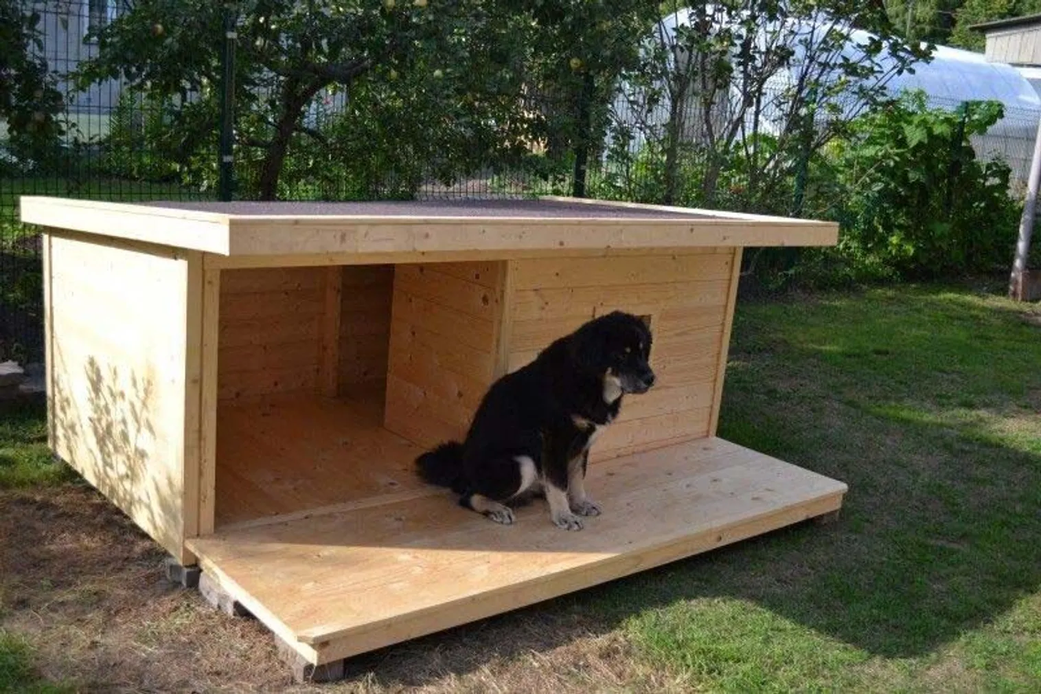 SOOJUSTAMATA KOERAKUUT TERRASSIGA MAX 2 NATURAALNE