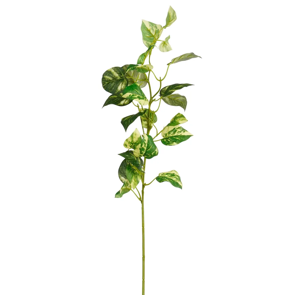 KUNSTLILL MICA DECORATIONS VIINAPUU 74CM ROHELINE