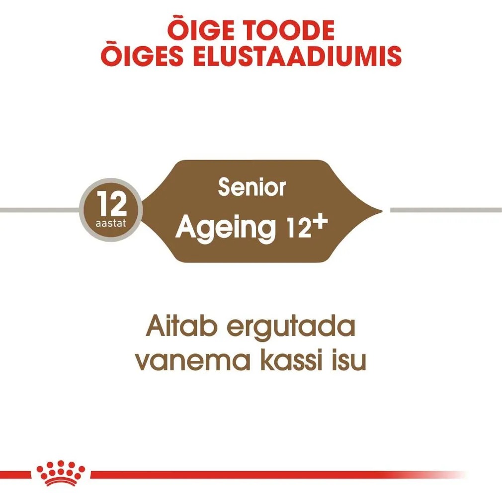KUIVTOIT ROYAL CANIN AGEING 12+ KASSIDELE 4KG