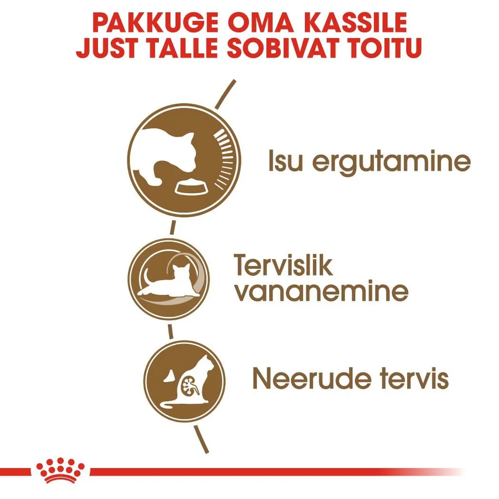 KUIVTOIT ROYAL CANIN AGEING 12+ KASSIDELE 4KG