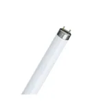 LUMINOFOORLAMP T8 36W/830 PHILIPS