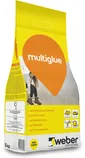 PLAATIMISSEGU WEBER MULTIGLUE 5 KG ELASTNE NATURAALVALGE