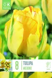 LILLESIBUL KAPITEYN TOPELTÕIELINE HILINE TULP AKEBONO 8TK PAKIS