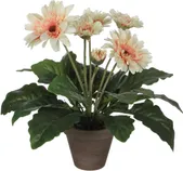 KUNSTLILL MICA DECORATIONS GERBERA Ø30X35CM POTIS Ø11,5 CREAM/HALL