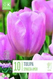 LILLESIBUL KAPITEYN TRIUMFTULP "SYNAEDA AMOR"