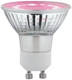 LED LAMP TAIMDELE PAULMANN 3,5W GU10 65LM 230V
