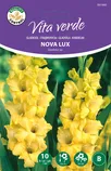 LILLESIBUL VITA VERDE GLADIOOL NOVA LUX 10TK PAKIS