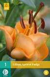 LILLESIBUL JUB LIILIA SPECIAL APRICOT FUDGE 1TK PAKIS