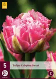 LILLESIBUL JUB TULP CRISPION SWEET 5TK PAKIS