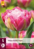 LILLESIBUL JUB TULP DOUBLE SURGAR 5TK PAKIS