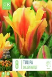 LILLESIBUL KAPITEYN ROHELISEÕIELINE TULP "GOLDEN ARTIST"