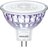 LED LAMP PHILIPS 7W MR16 2700K 36D PHILIPS
