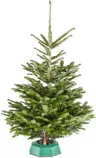 JÕULUPUU KAUKAASIA NULG 125+CM