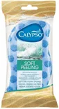 PESUSVAMM SPONTEX CALYPSO SOFT KOORIV 
