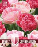 LILLESIBULATEKOMPL. TÄIDISÕIELINE TULP ROOSA MIX 12TK