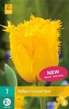 LILLESIBUL JUB TULP CRYSTAL STAR 7TK PAKIS