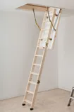 PÖÖNINGULUUK DOLLE SW36-5 115X55CM