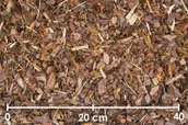 MÄNNIKOOREMULTŠ BALTIC BARK 0-15MM 50L