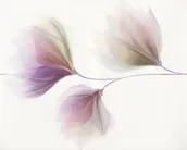 SEINAPLAAT CERSANIT LORIS WHITE INSERTO FLOWER 40X50