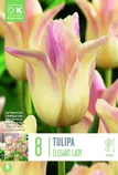 LILLESIBUL LIILIAÕIELINE TULP "FLOWERED ELEGANT LADY"