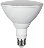 LED LAMP EGLO TAIMEDELE 16W E27 1700LM 2700K PAR38 KOLLANE