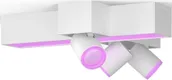 KOHTVALGUSTI PHILIPS HUE CENTRIS3 3X5,7W+25W 2200-6500+RGB HUE VALGE