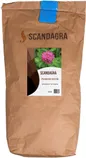 PUNANE RISTIK SCANDAGRA 10KG