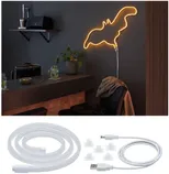 RIBAVALGUSTI PAULMANN NEON COLORFLEX 1M 4,5W 10LM ORANŽ 5V USB