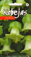 LILLESEEME VANIKKULJUS VALGE 5 S